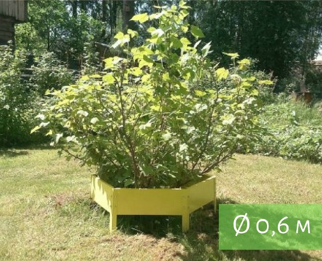 Клумба "Сота" 300 в Перми
