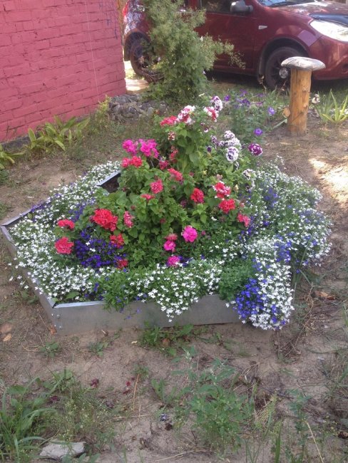 Клумба "Сота" 400 оцинкованная в Перми